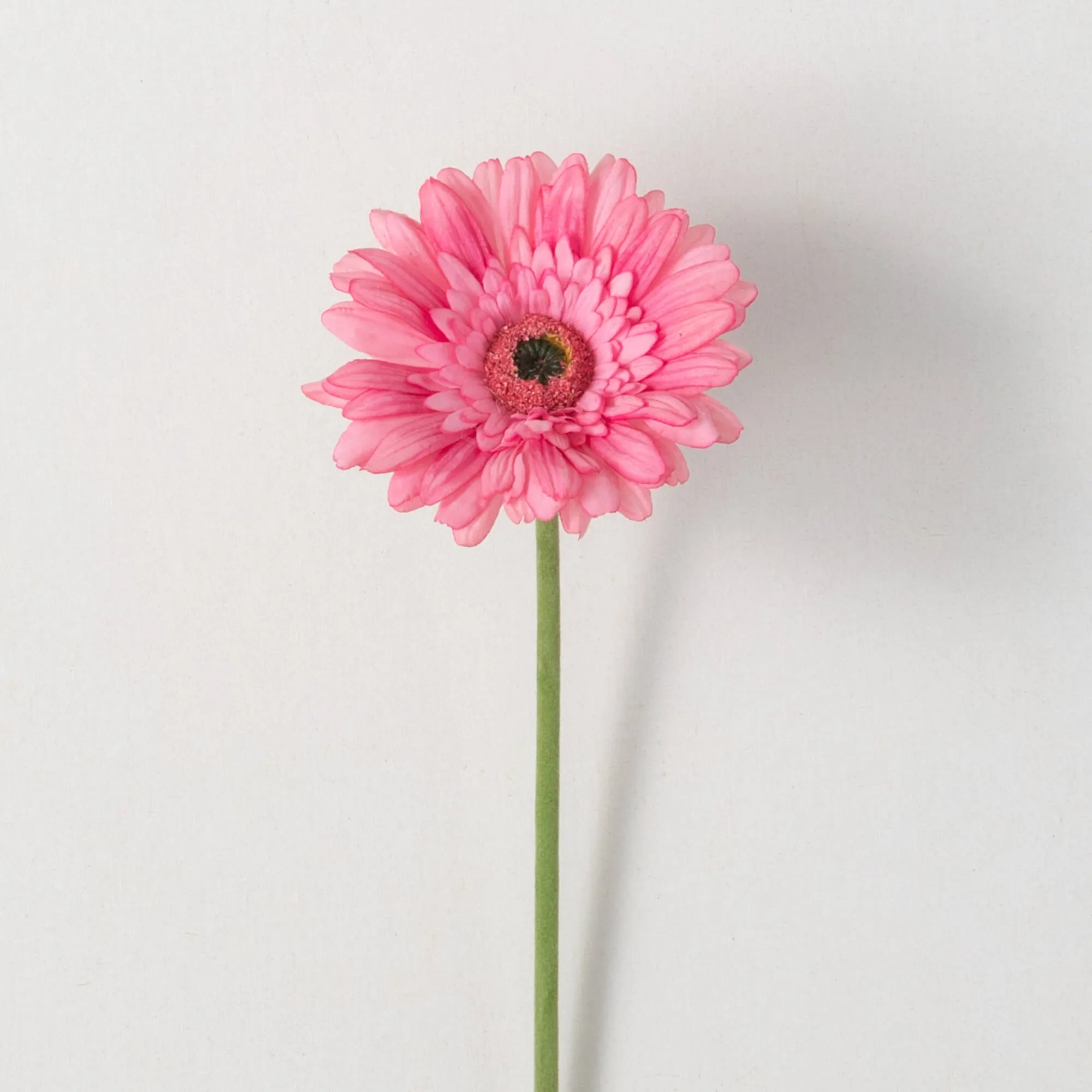 25"H Sullivans Beautiful Pink Gerbera Daisy, Pink