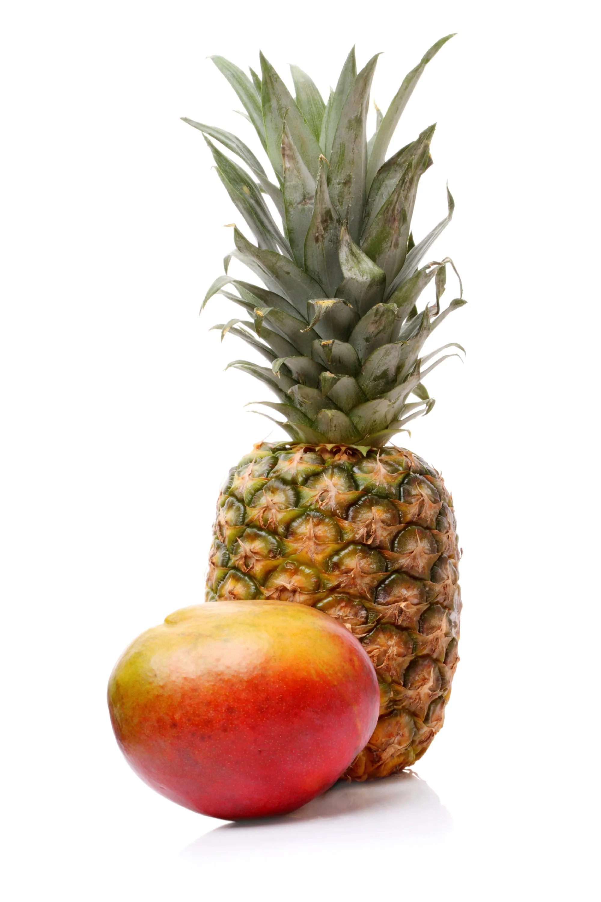 Pineapple Mango Fragrance Oil - BBW Type